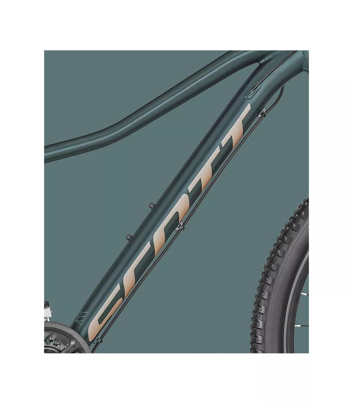CONTESSA ACTIVE 50 PETROL