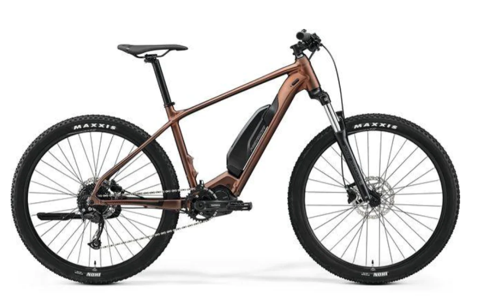 EBIG NINE 300SE- SILK BRONZE(BLACK)